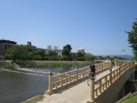 IMG_0781.JPG